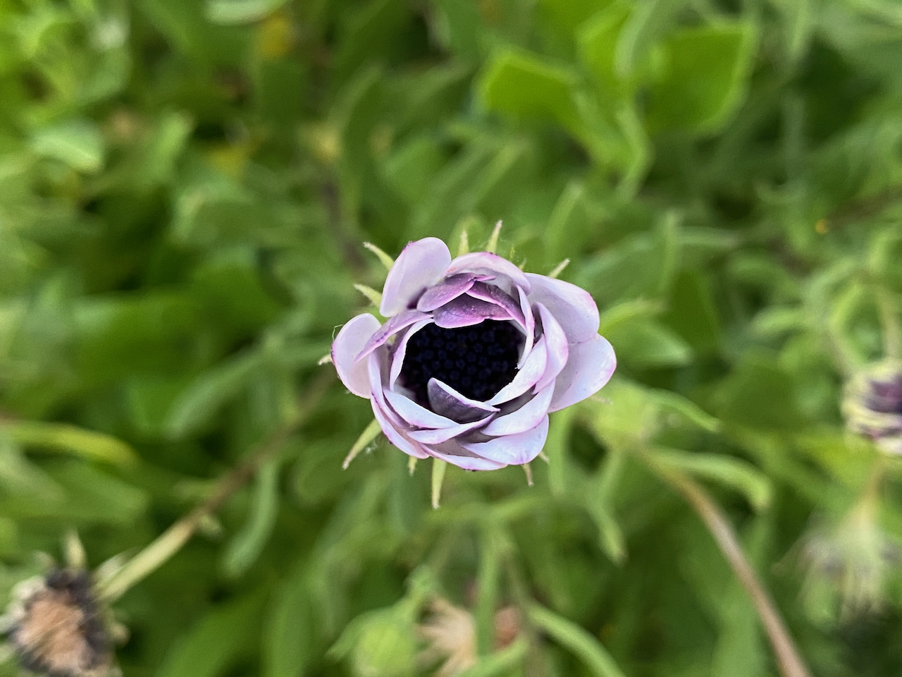 Fotografía 12