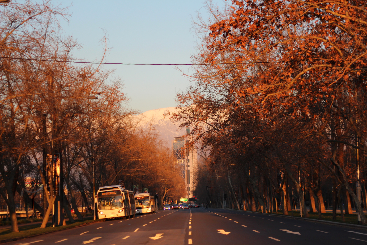 Fotografía 3